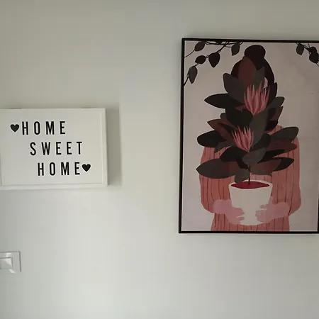 Casa Tia Rosa * 庞特维德拉